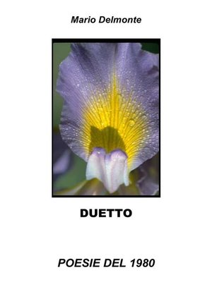 cover image of Duetto